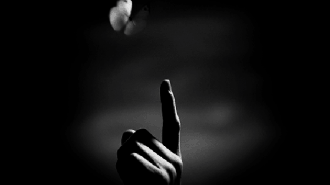 7.gif